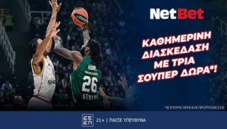 netbet 291124